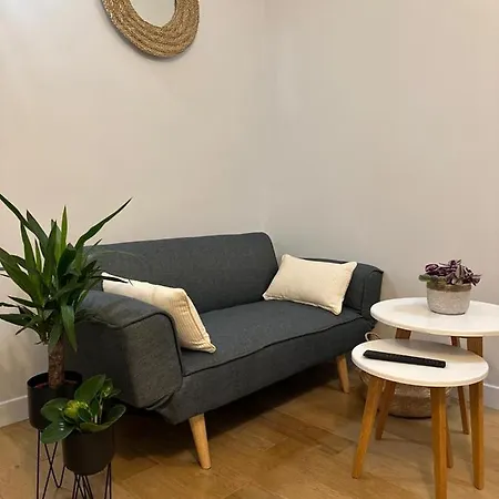 Apartment -champs Elysees